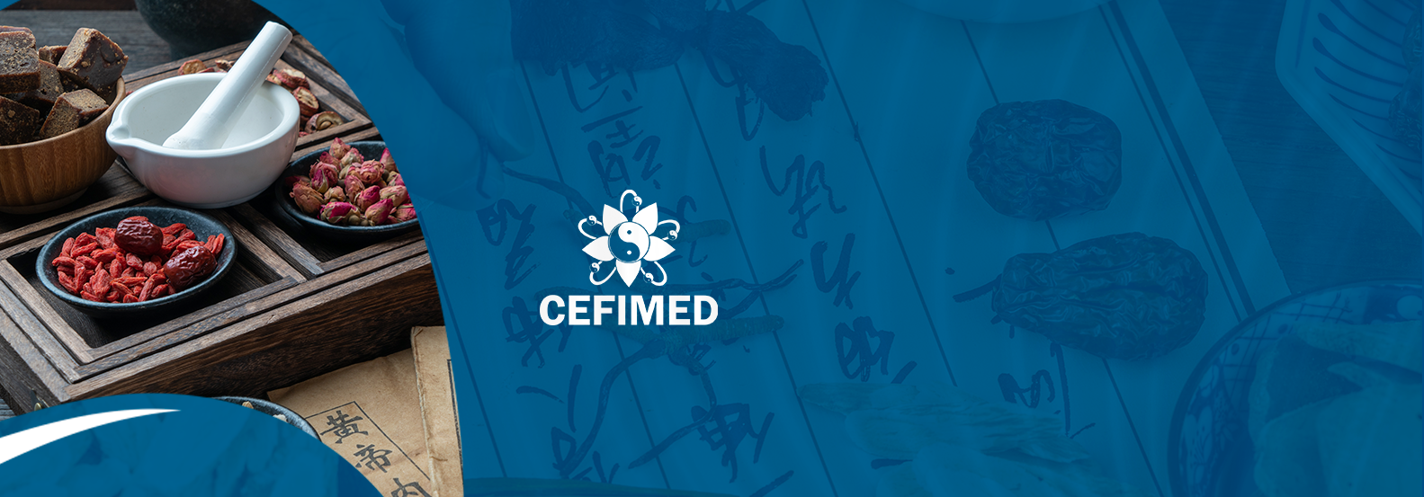 Cefimed – Dr. Bergamo – Curso de Formação